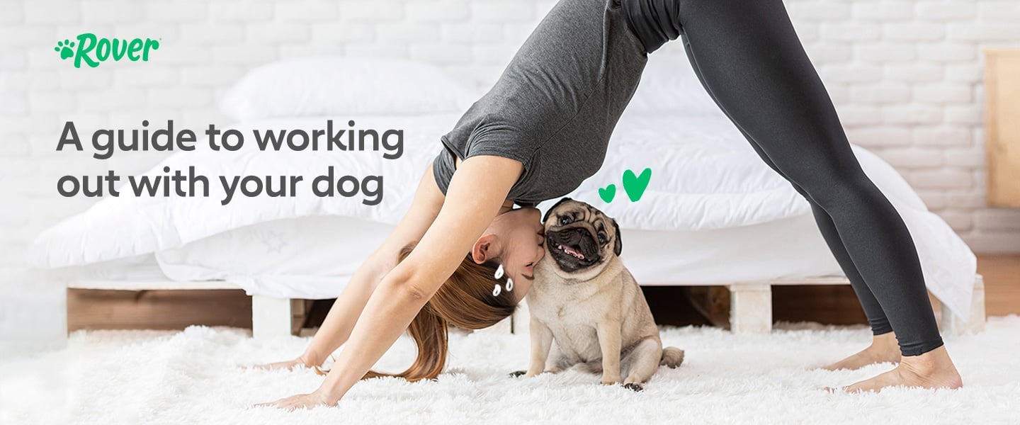 A Guide to Working Out With Your Dog