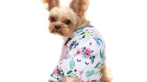 puppy onesie