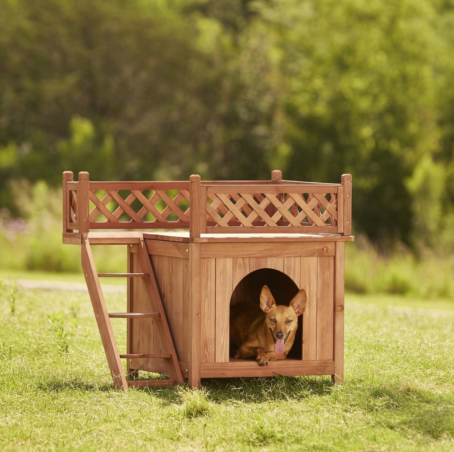 Wooden Dog Crates The Best Wooden Dog Crates