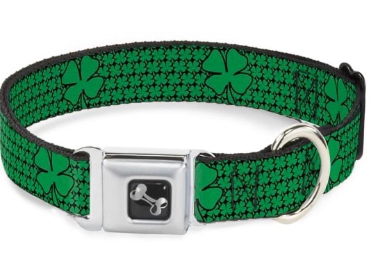 St. Patrick's Day Buckle Collar