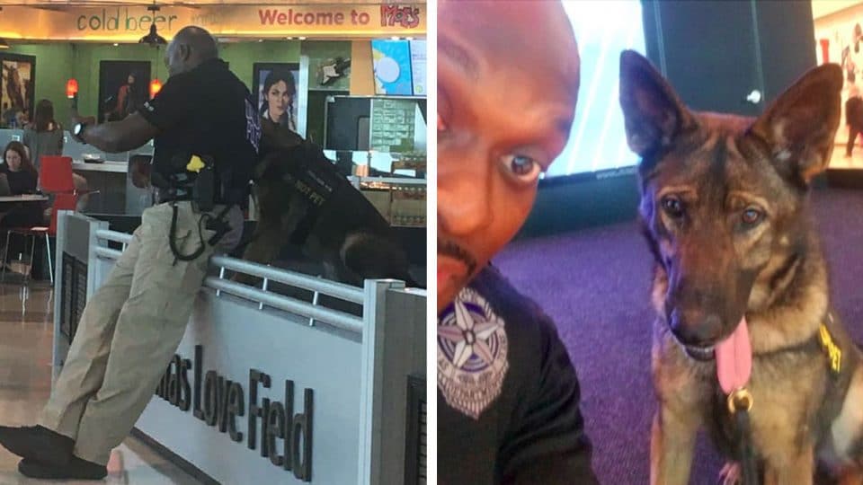 dallas police k9 unit