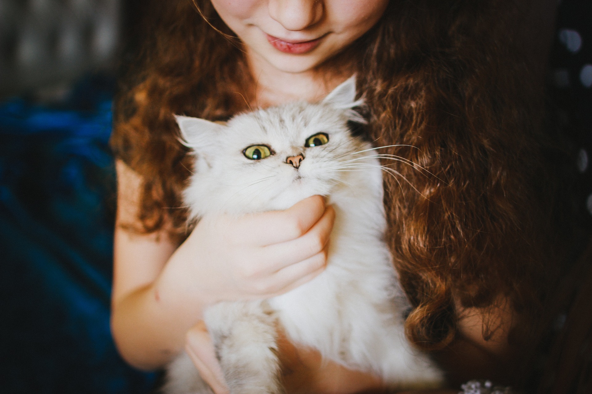 How to Pet a Cat—And Why It's Good For You (Because It Is!)