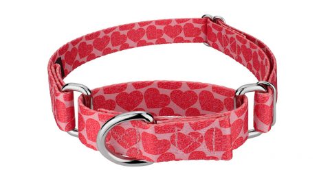 valentines dog collar with pink hearts