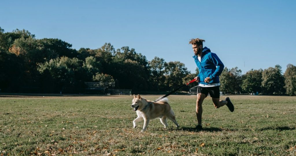 Dog Running Gear MustHaves for a Great Run With Your Dog