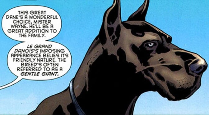16 Perfect Batman Dog Names | The Dog People by 