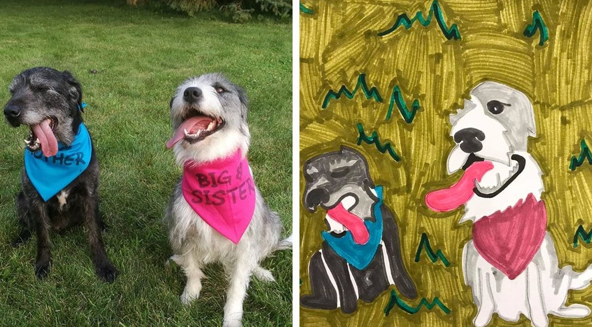 Art & Collectibles Real Bad Pet Portraits Prints