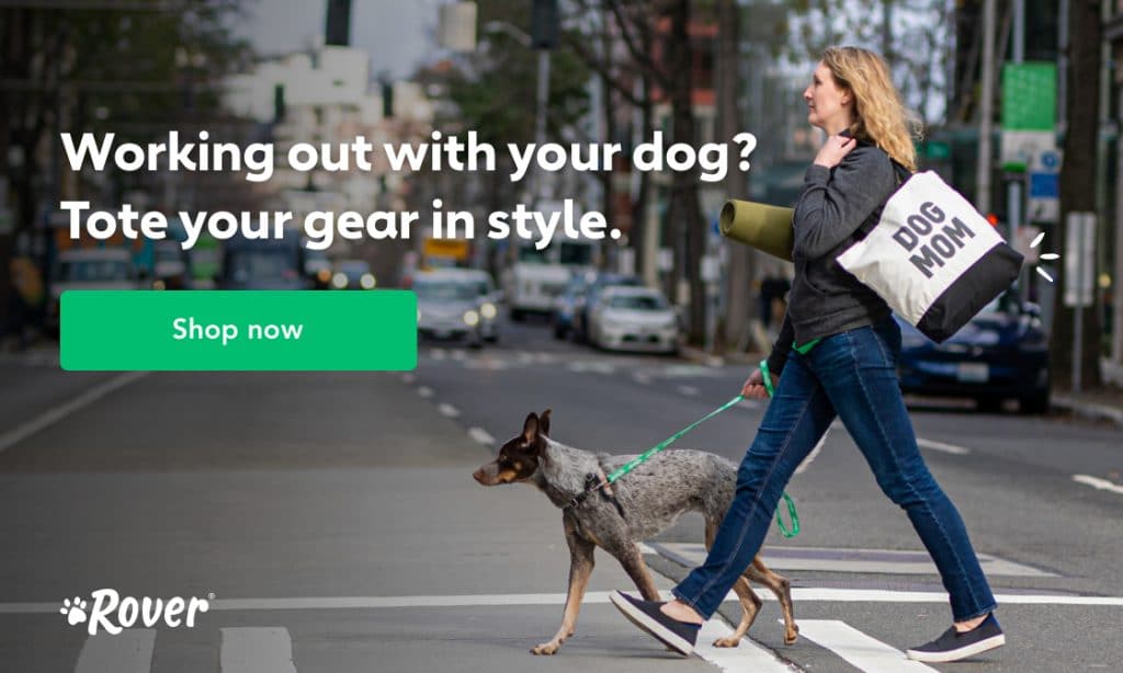 working out with your dog