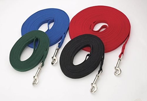 Colorful long leashes rolled into discs