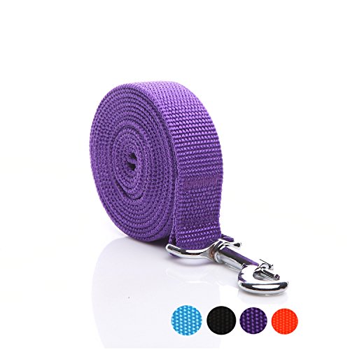 Basic purple leash with metal clasp