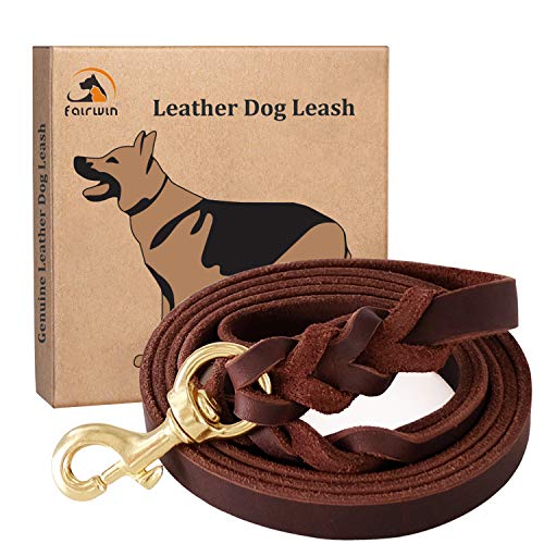 Leather harness with braided twist and gold metal clasp