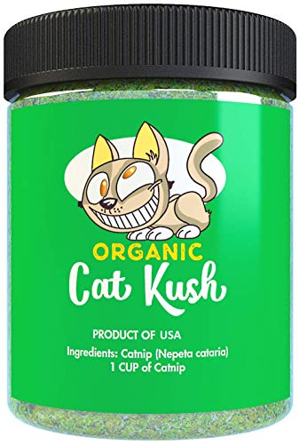 best catnip spray