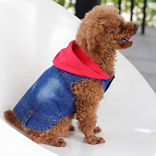 Dog Jean Jackets The Best Dog Jean Jackets for the Hippest Pups