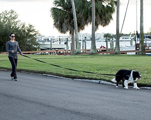 Woman walking dog on long leash in park