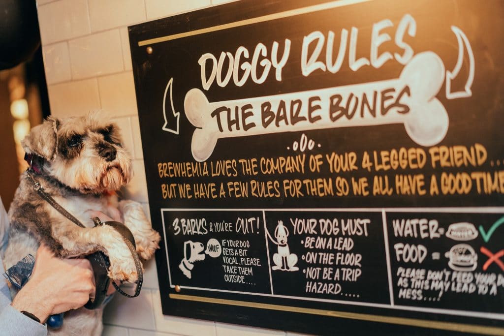 Top 5 DogFriendly Bars in Edinburgh The Dog People by