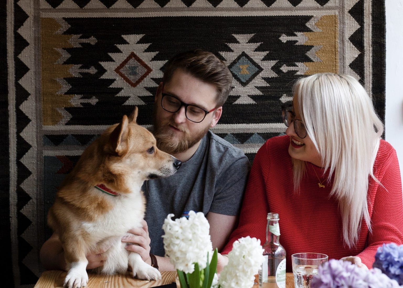 Top 6 DogFriendly Cafes in Leeds The Dog People by