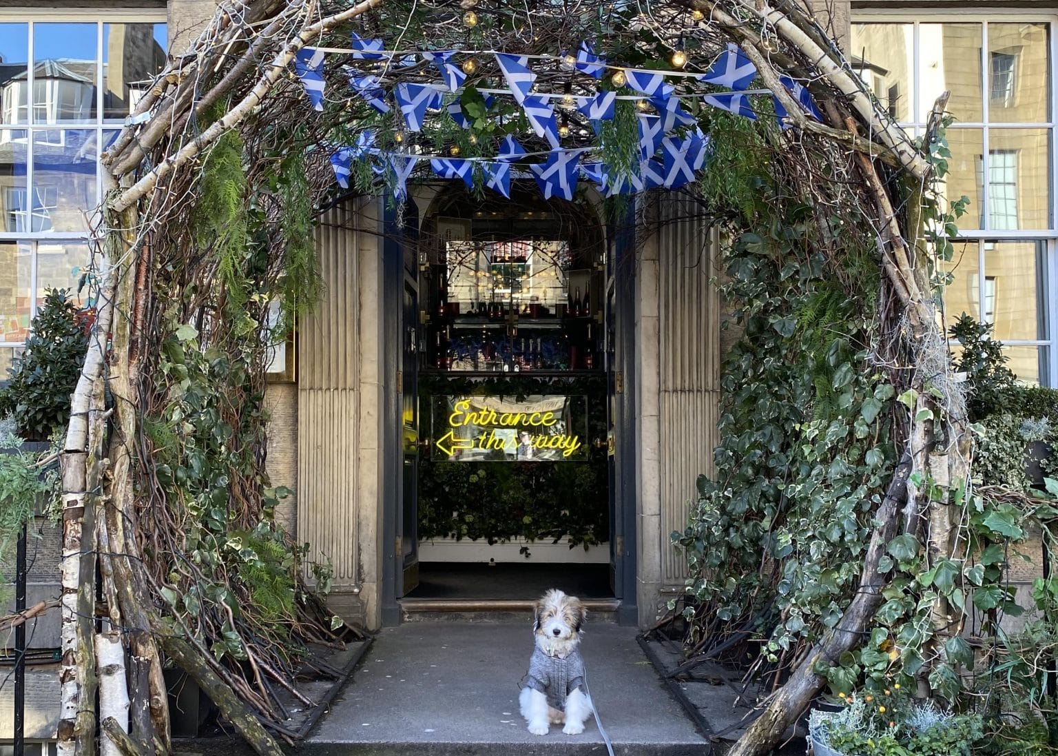 Top 8 DogFriendly Restaurants in Edinburgh The Dog People by