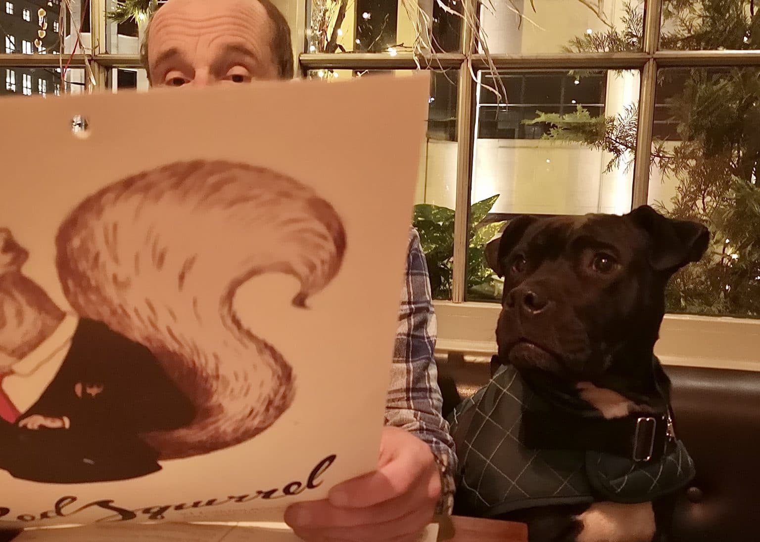 Top 8 DogFriendly Restaurants in Edinburgh The Dog People by