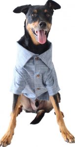 jean jacket for dogs