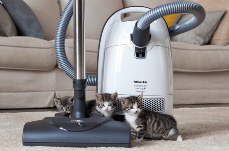 Miele Complete C3 Cat and Dog Canister Vacuum 