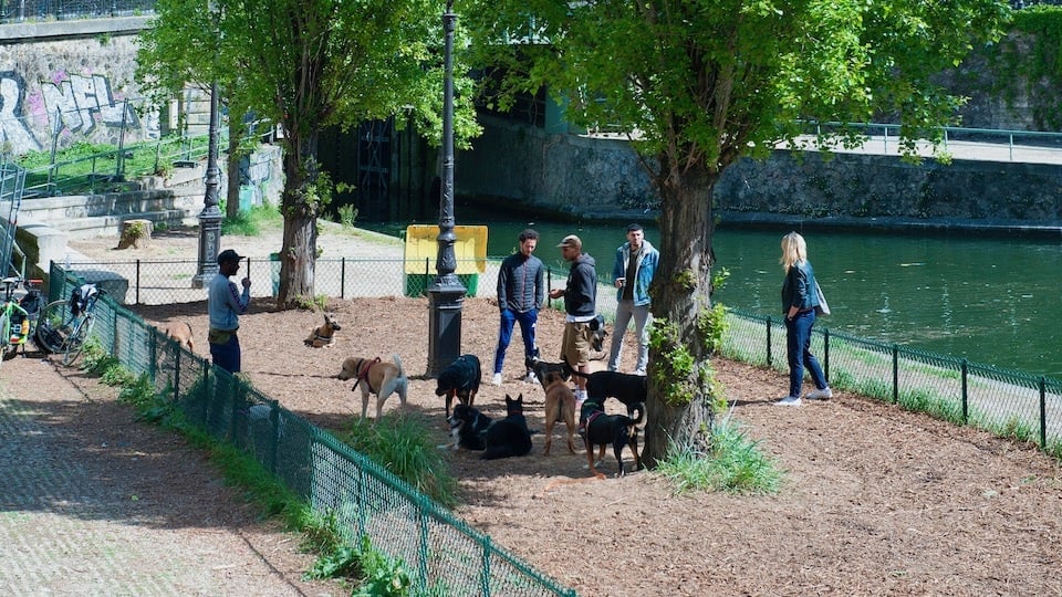 Parc canin