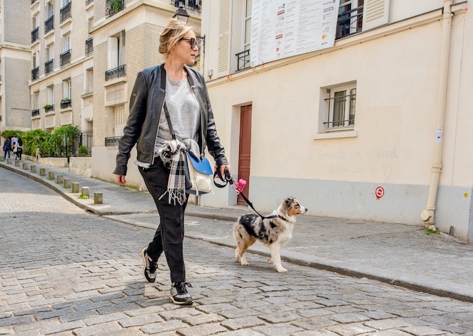 Chien en promenade à Paris