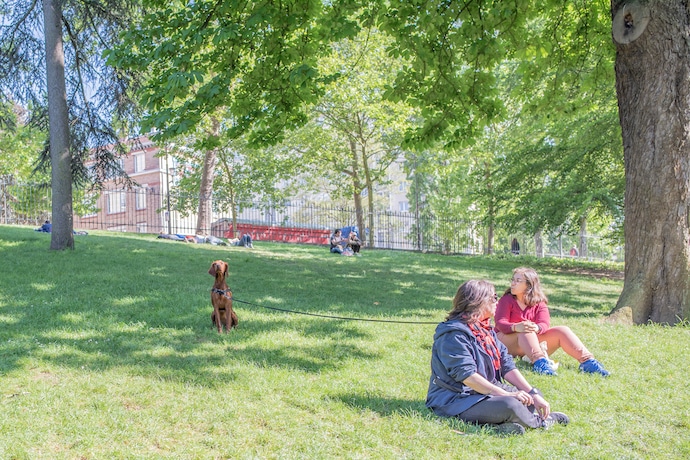 Chien au Parc des Buttes Chaumont à Paris