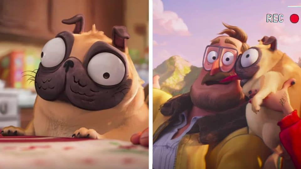 images of Monchi the pug from the movie Connected