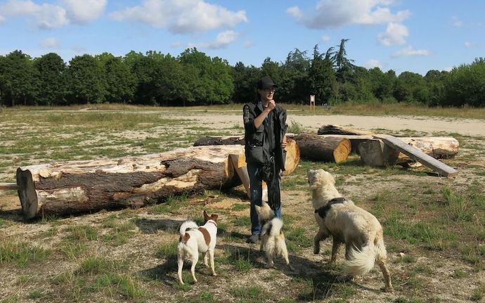 Parc à chien au bois de Vincennes