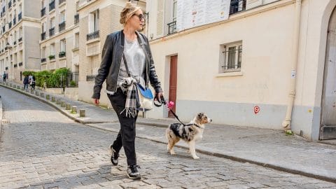 8 caniparcs à Paris où promener son chien sans laisse