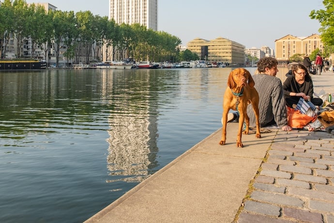 chien sur le Canal Saint Martin avec ses maîtres