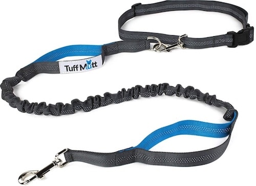 Tuff Mutt bungee leash in blue and gray