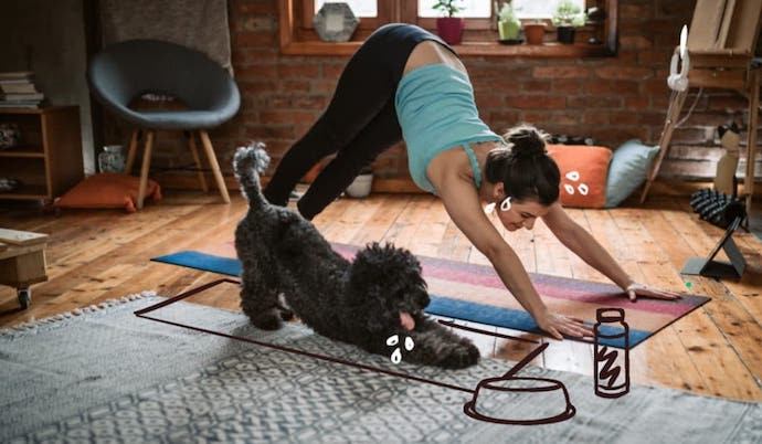 faire du yoga avec son chien