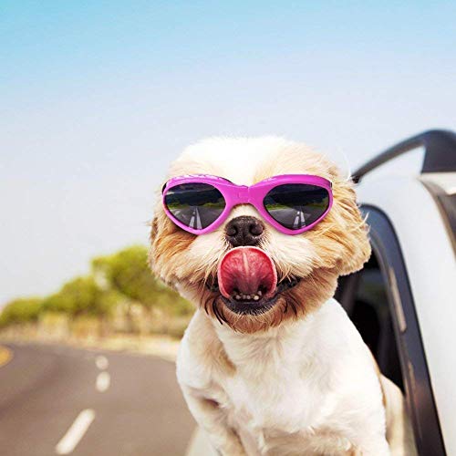 Sun Goggles Dog Sunglasses UV Protection Sun Glasses for Medium and Small Dogs Enjoying Pet Goggles