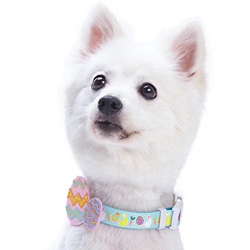 Blueberry Pet dog collar