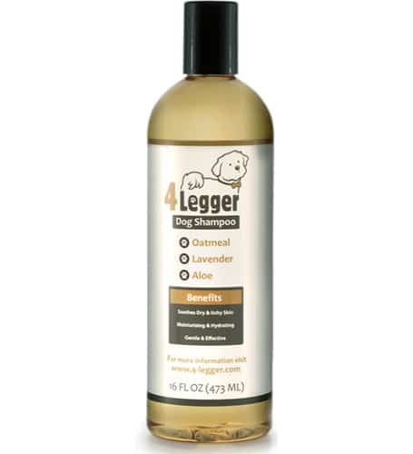 bottle of eco-friendly dog shampoo