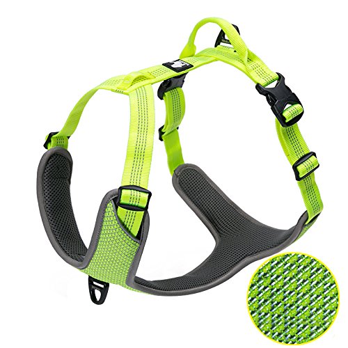 neon green Outdoor Adventure reflective Harness