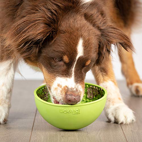 Dog eating from LickiMat Wobble bowl feeder