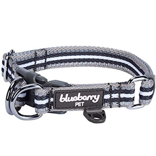Blueberry Pet Reflective Dog Collar