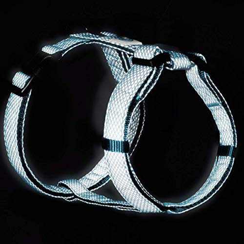 Embark Illuminate Reflective Dog Harness