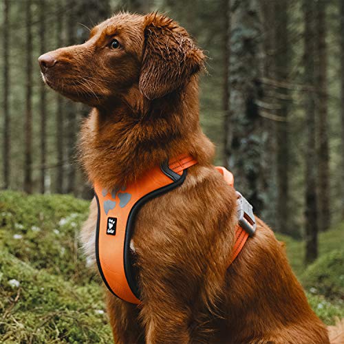 orange Hurtta Weekend Warrior Harness