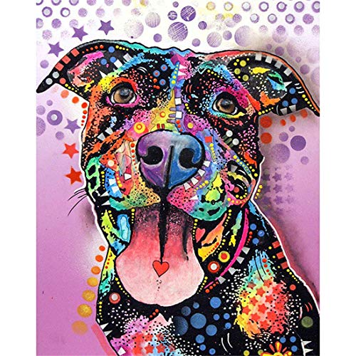 Paint Your Pet by Numbers with Custom Paint by Numbers Kit