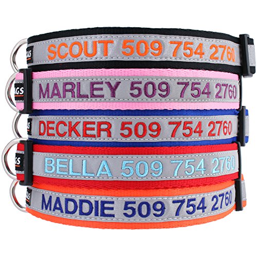 personalized reflective dog collars