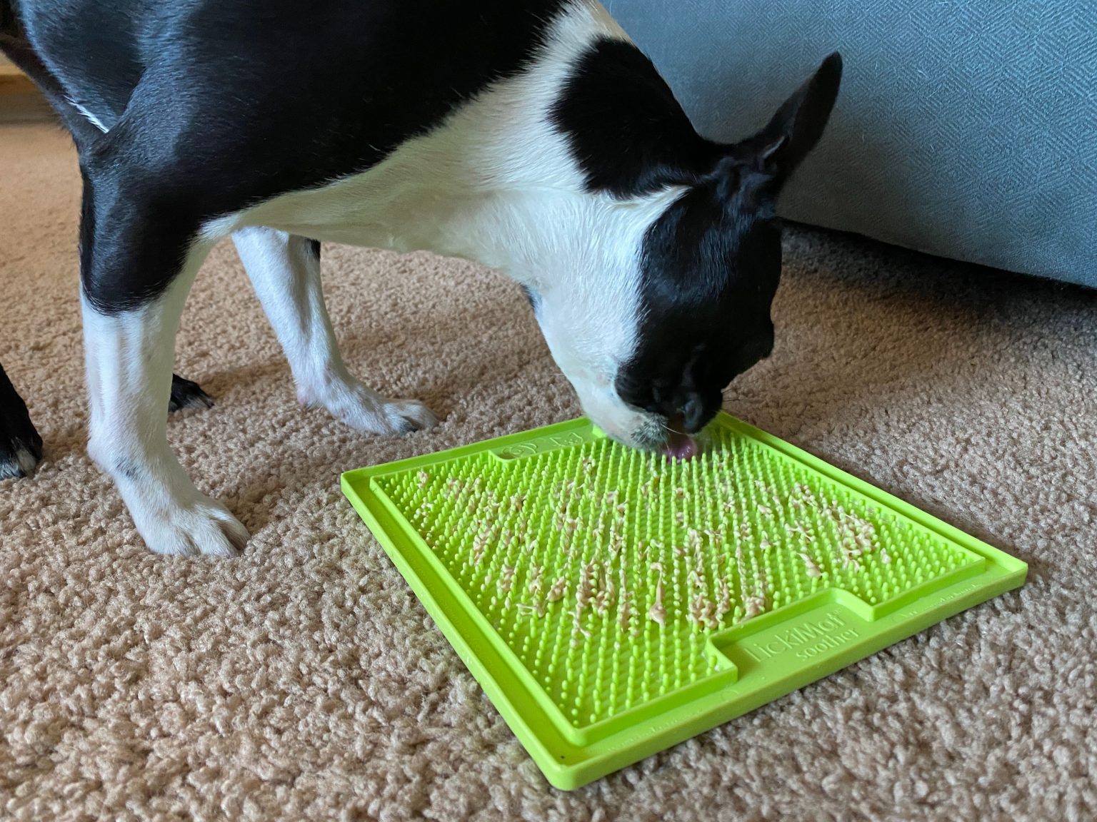 Lickimats for Dogs Our DogTested Review Dogs Explorer