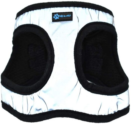 Max and Neo reflective dog vest