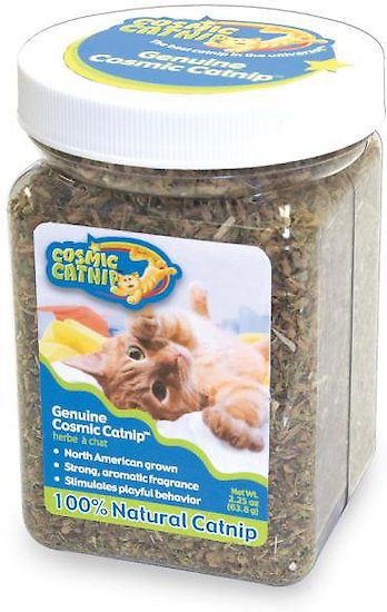most potent catnip