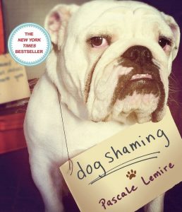cover of book, Dog Shaming, by Pascale Lemire