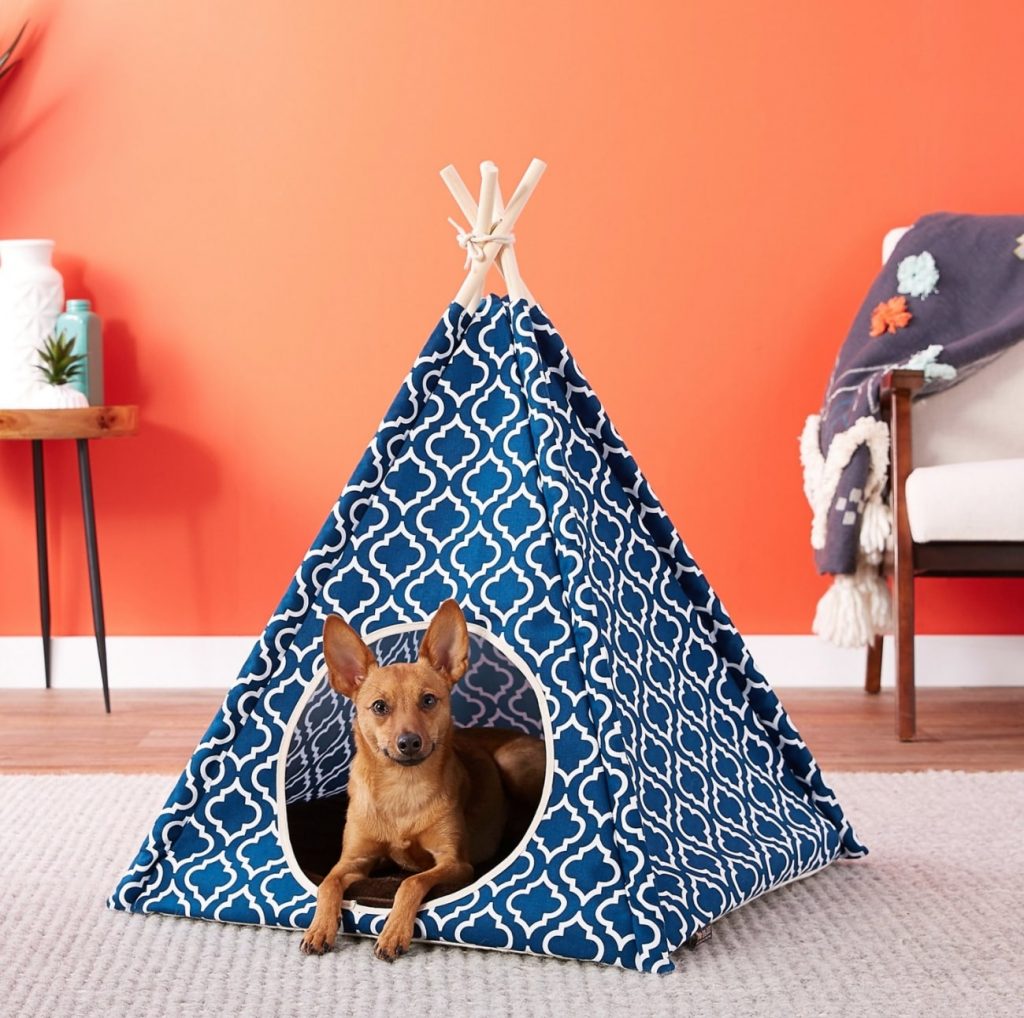 Best Natural, Organic Dog Beds The Best Natural, Organic Beds for Dogs