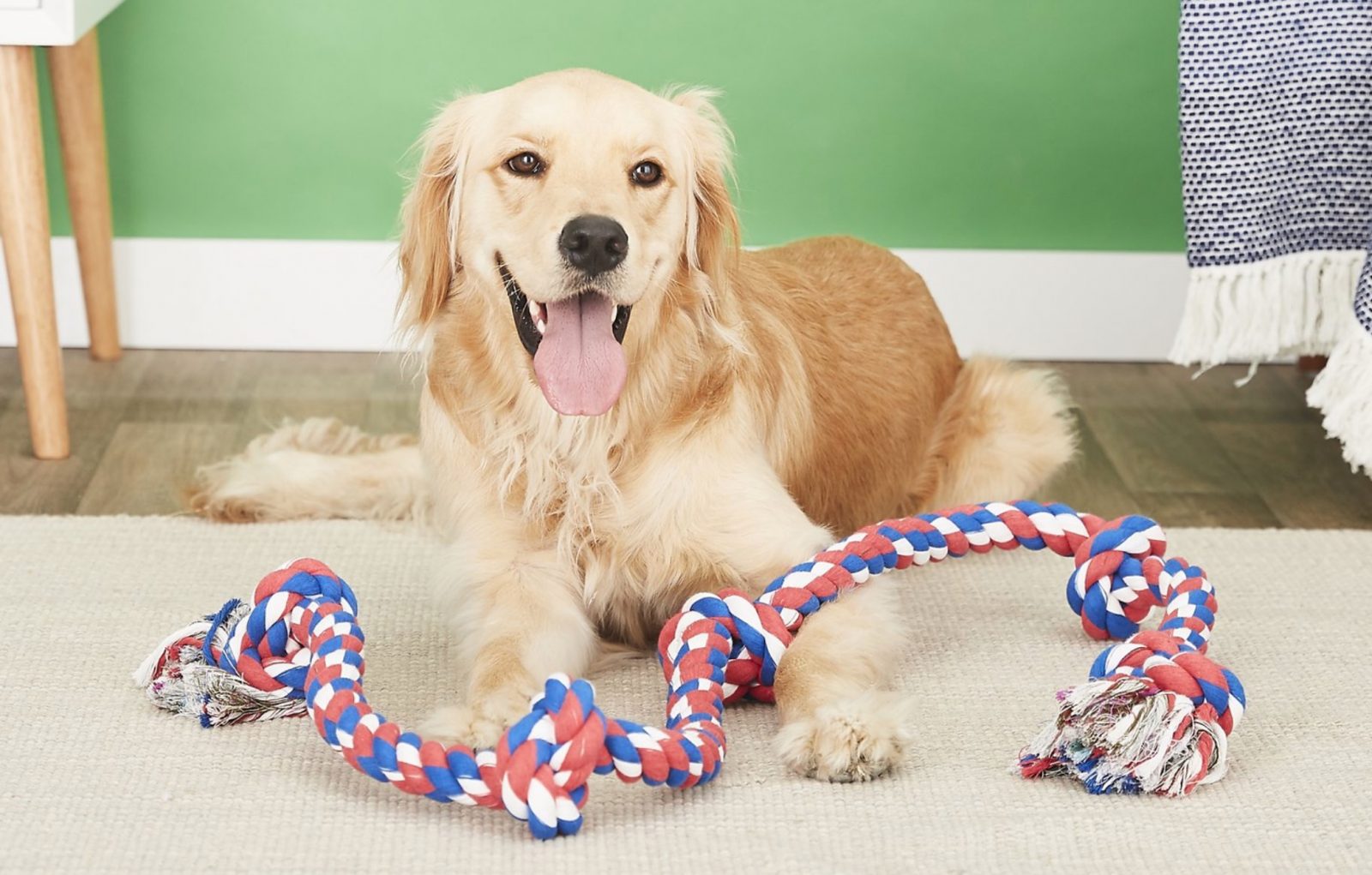 Dog Rope Toys | The Best Dog Rope Toys for Fetch, Tug of War, and More