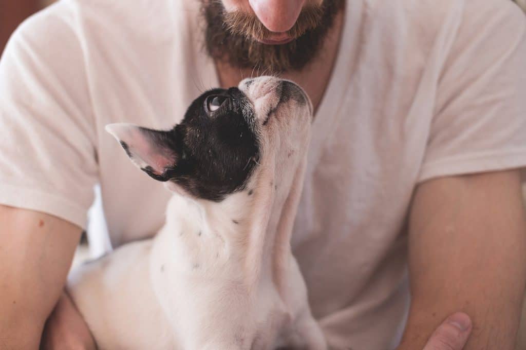 gifts from the dog to dad