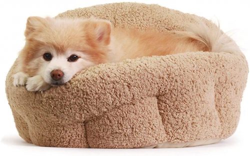 dog snuggled into cream-colored sherpa fleece bolstered oval bed